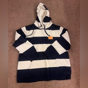 Zara Striped Hoodie Sweatshirt in Blue/White